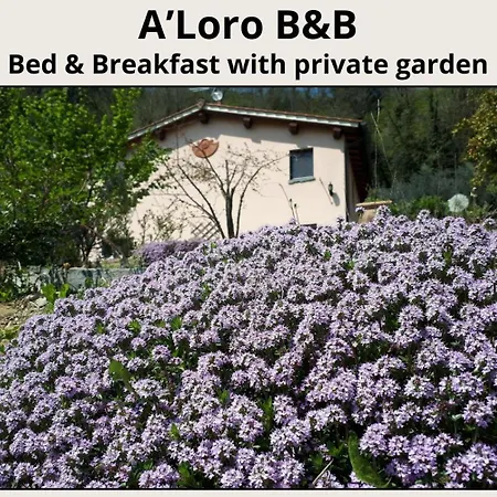 A'Loro B&B Terranuova Bracciolini Exterior foto