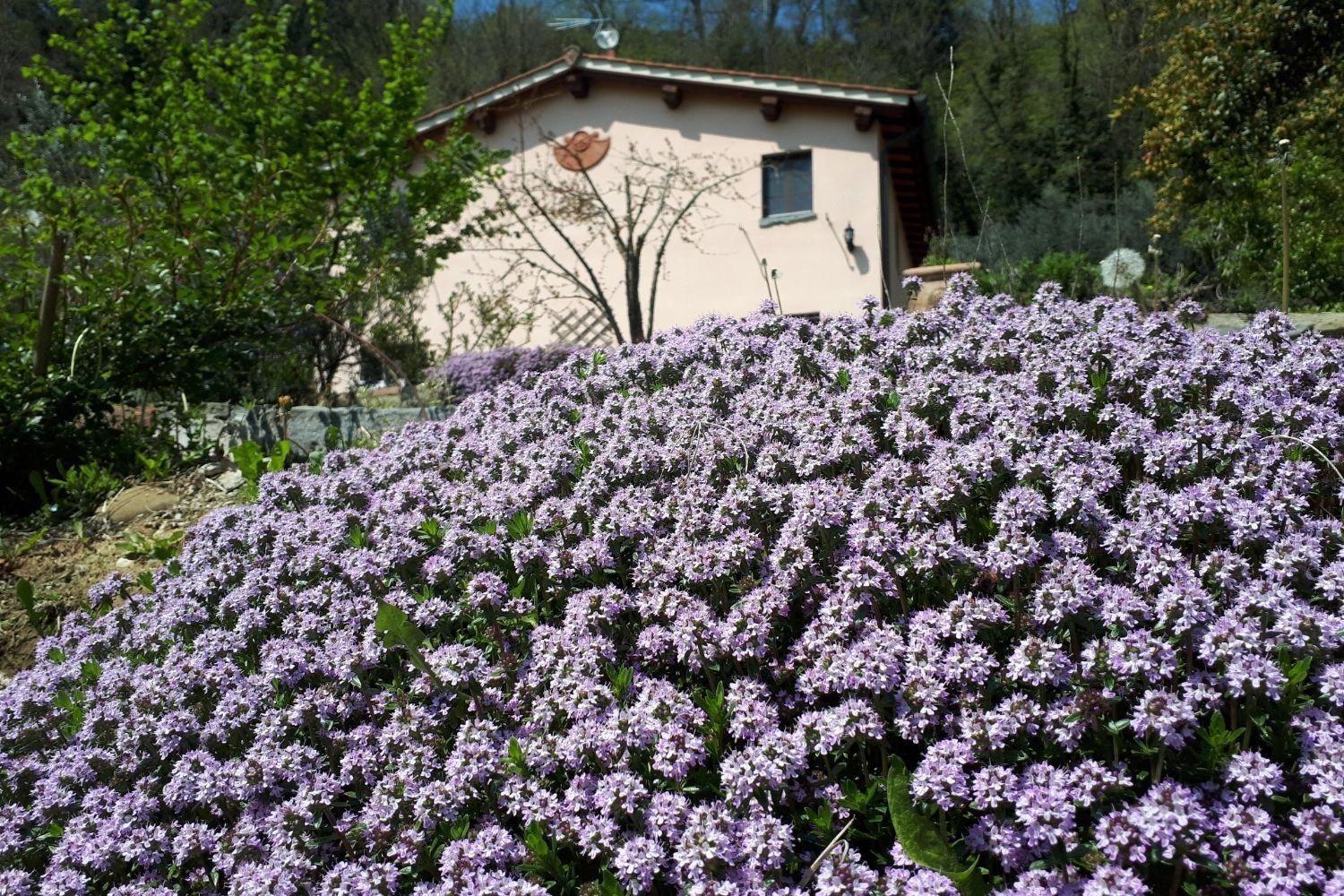 A'loro 3* Terranuova Bracciolini