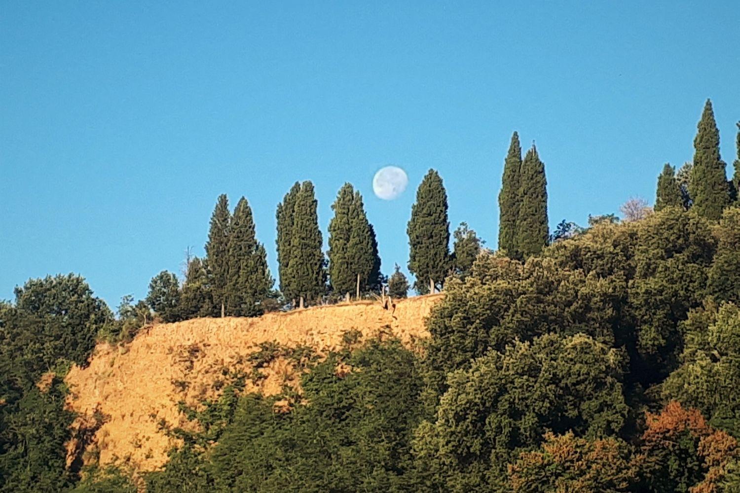 A'loro Terranuova Bracciolini